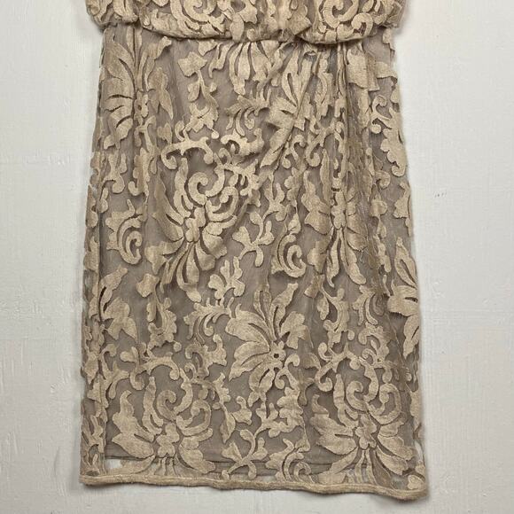 Tadashi Shoji Women's Lace Overlay Blouson Cocktail Dress Taupe Sand Size 4 - Picture 3 of 12